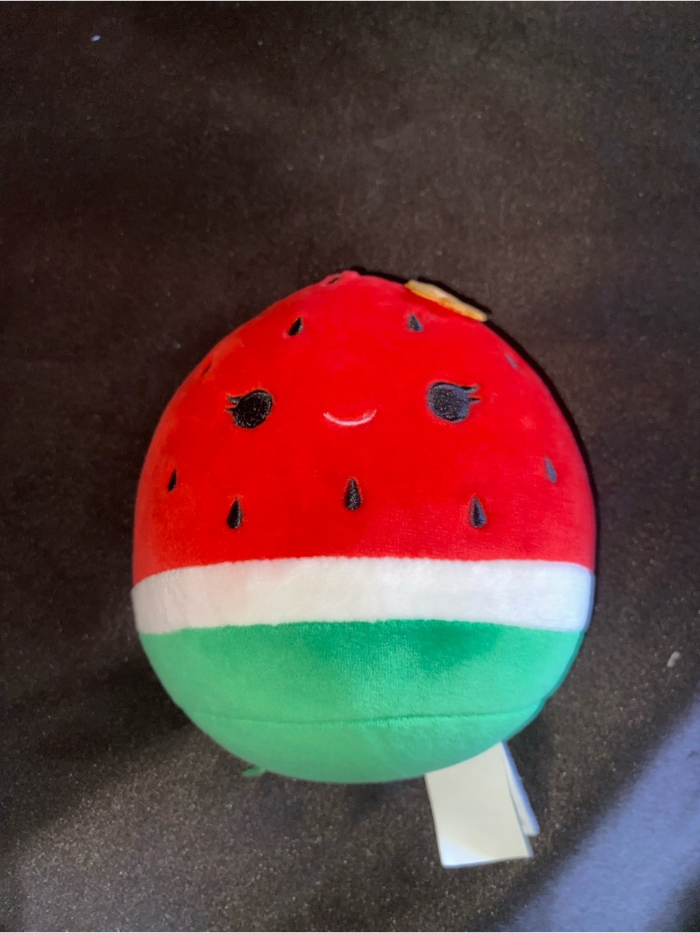 Winery the watermelon squishmallow